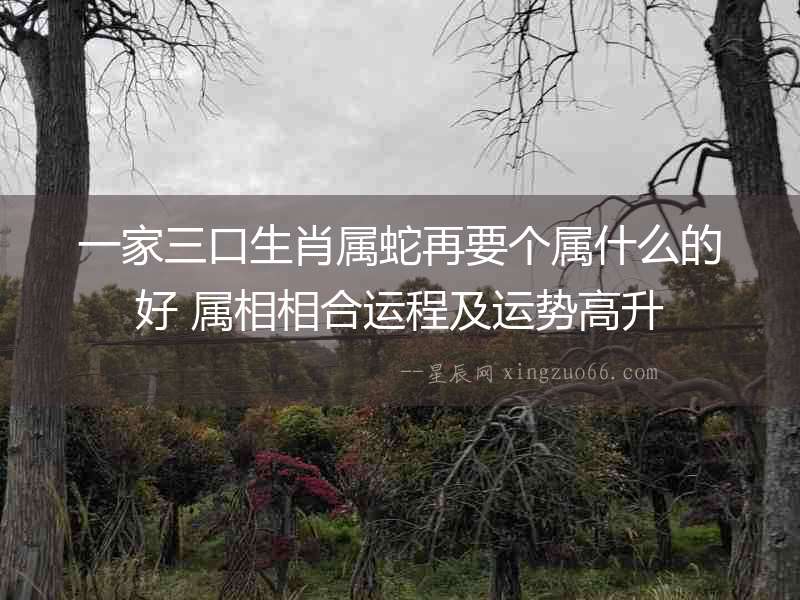 一家三口生肖屬蛇再要個屬什么的好 屬相相合運程及運勢高升