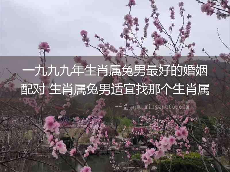 一九九九年生肖屬兔男最好的婚姻配對(duì) 生肖屬兔男適宜找那個(gè)生肖屬相女