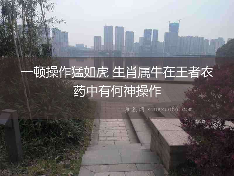 一頓操作猛如虎 生肖屬牛在王者農藥中有何神操作