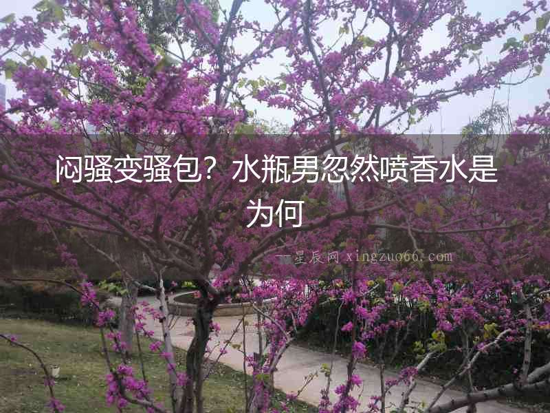 悶騷變騷包？水瓶男忽然噴香水是為何