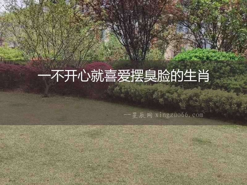 一不開心就喜愛擺臭臉的生肖