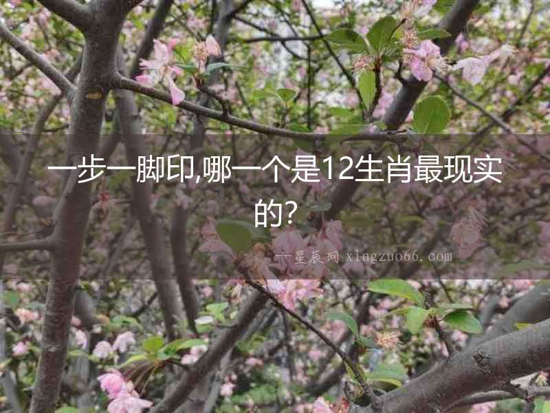一步一腳印,哪一個是12生肖最現(xiàn)實的？