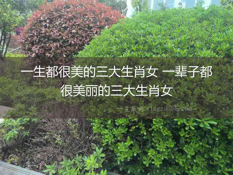 一生都很美的三大生肖女 一輩子都很美麗的三大生肖女