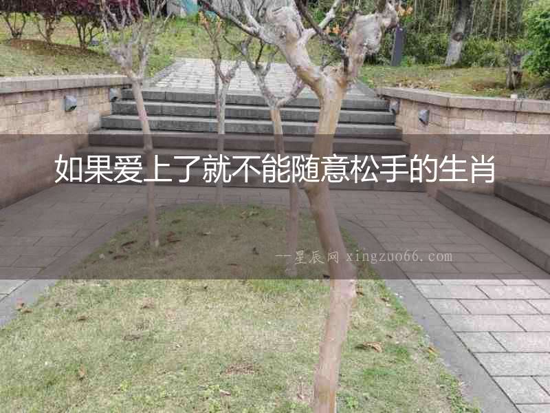 如果愛上了就不能隨意松手的生肖
