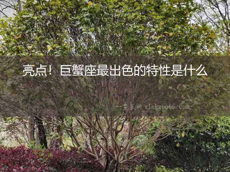 亮點(diǎn)！巨蟹座最出色的特性是什么
