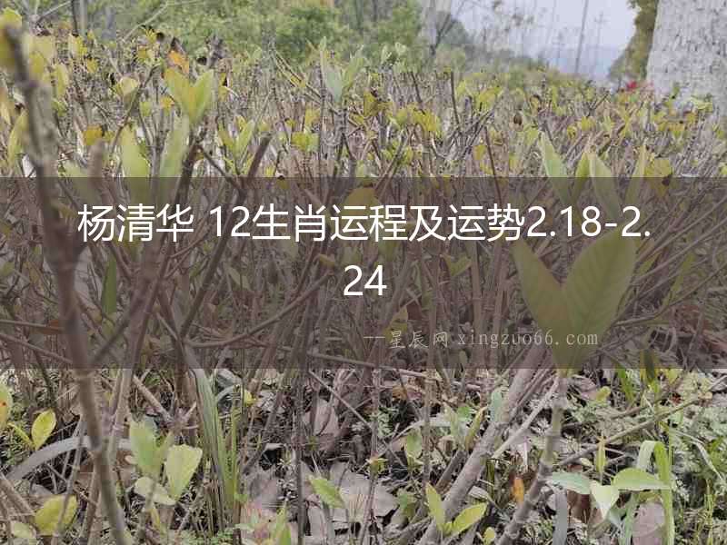 楊清華 12生肖運程及運勢2.18-2.24
