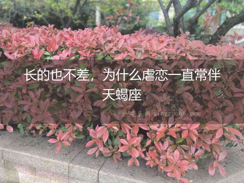長的也不差，為什么虐戀一直常伴天蝎座