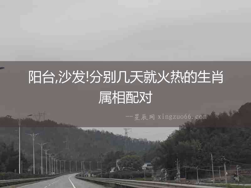 陽臺,沙發!分別幾天就火熱的生肖屬相配對