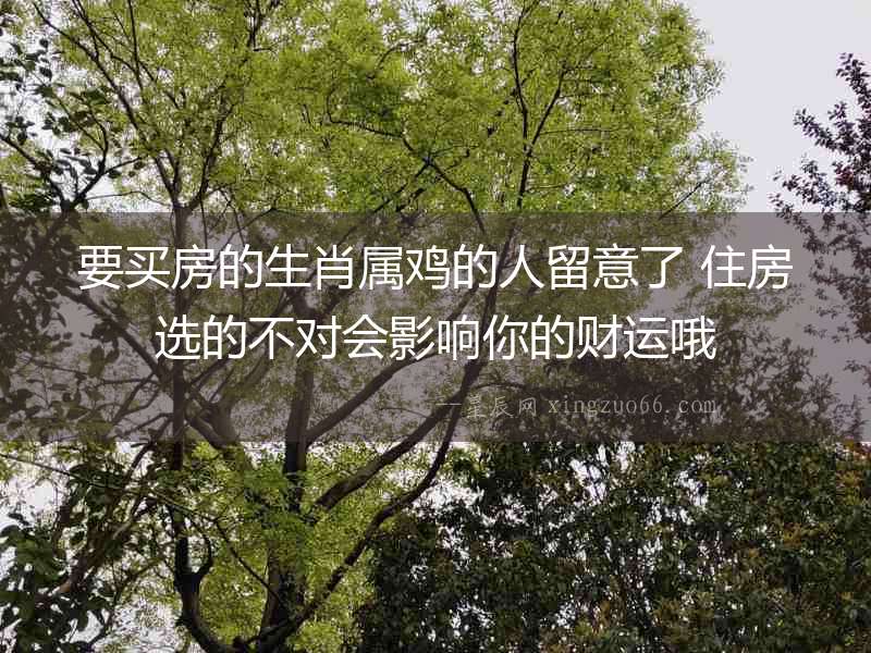 要買房的生肖屬雞的人留意了 住房選的不對會影響你的財運哦