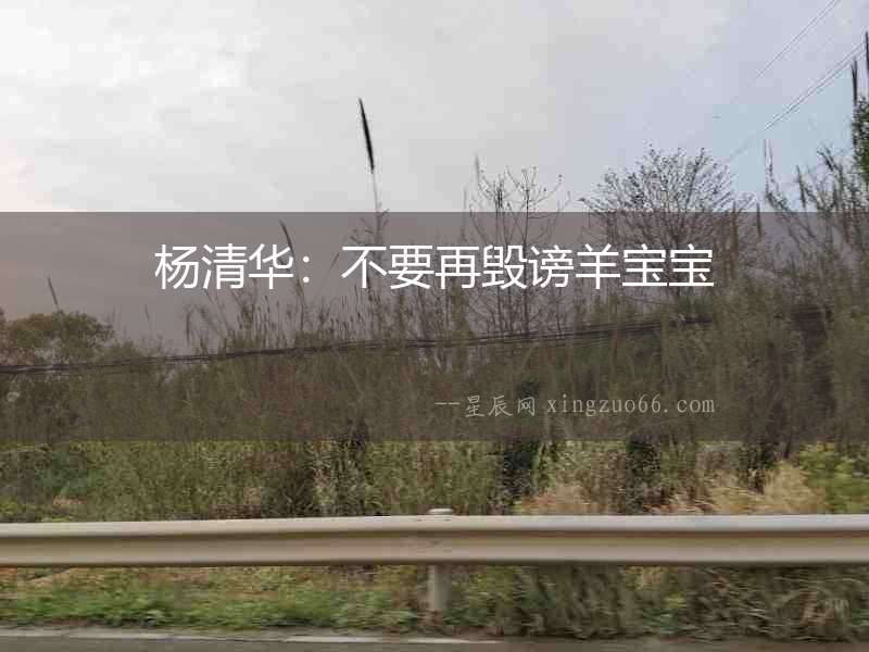 楊清華：不要再毀謗羊寶寶
