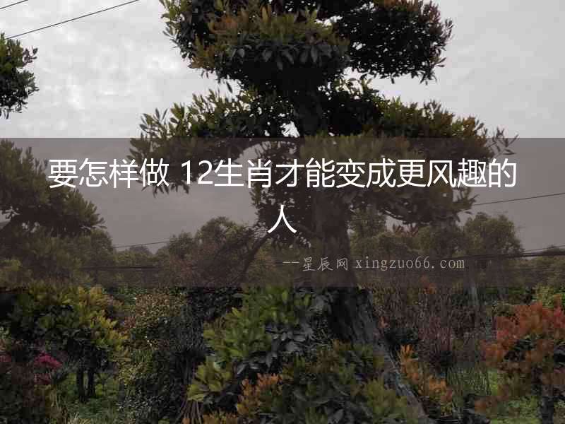 要怎樣做 12生肖才能變成更風趣的人