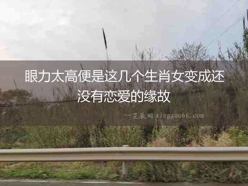 眼力太高便是這幾個生肖女變成還沒有戀愛的緣故