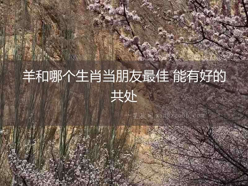 羊和哪個生肖當朋友最佳 能有好的共處