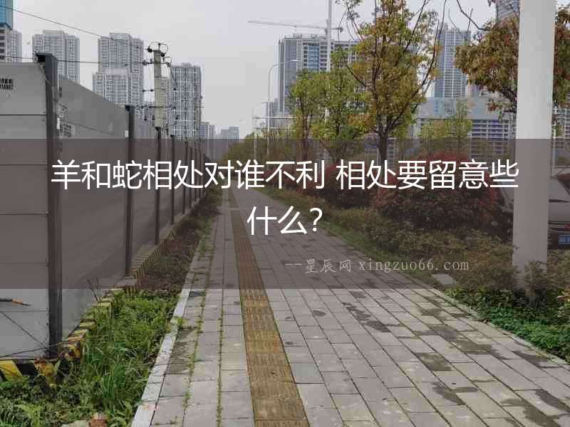羊和蛇相處對誰不利 相處要留意些什么？