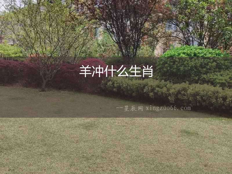 羊沖什么生肖