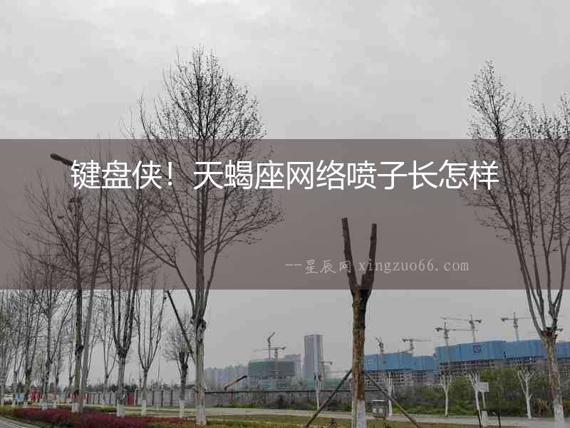 鍵盤俠！天蝎座網絡噴子長怎樣