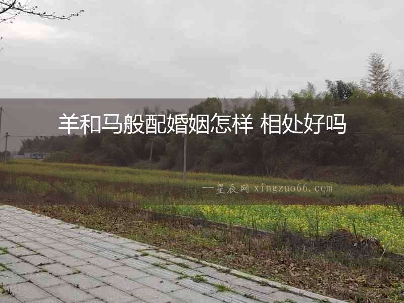 羊和馬般配婚姻怎樣 相處好嗎
