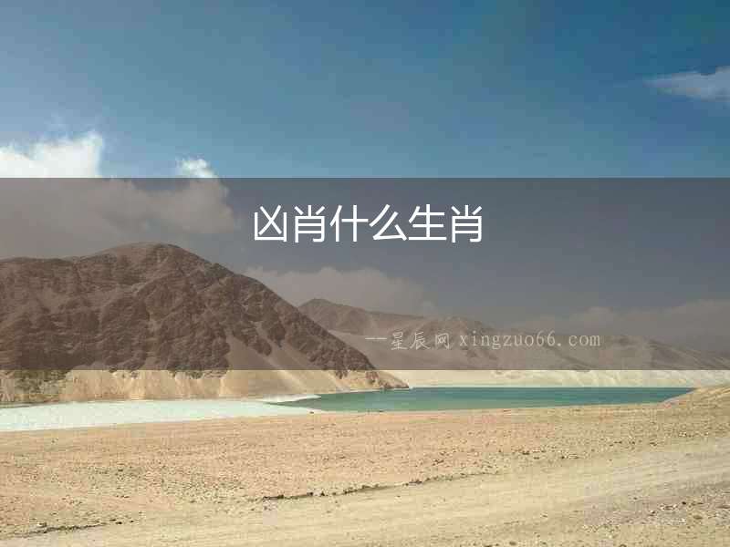 兇肖什么生肖