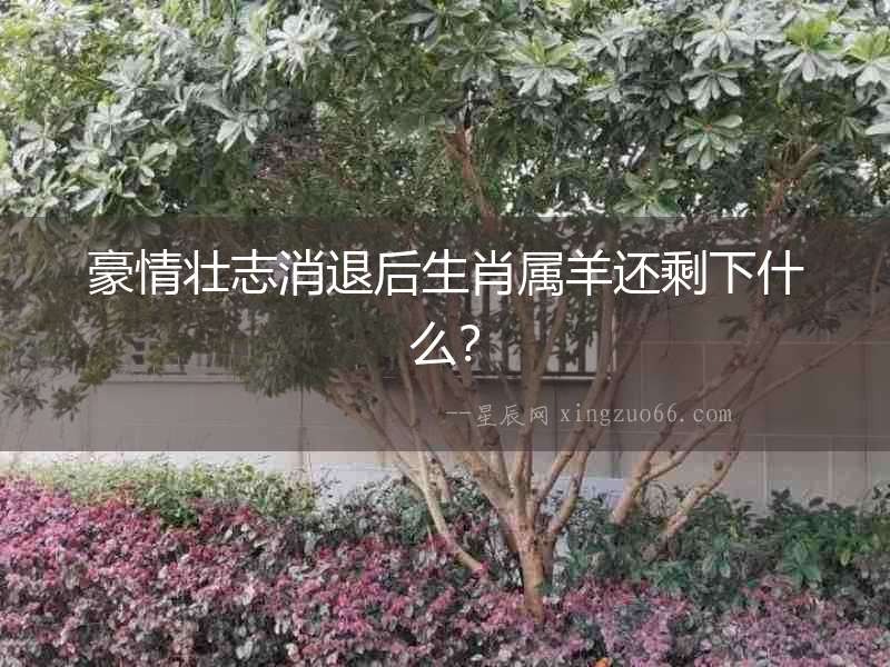 豪情壯志消退后生肖屬羊還剩下什么？