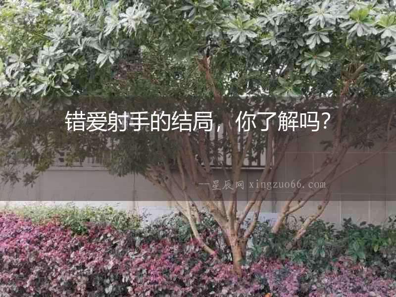 錯(cuò)愛射手的結(jié)局，你了解嗎？