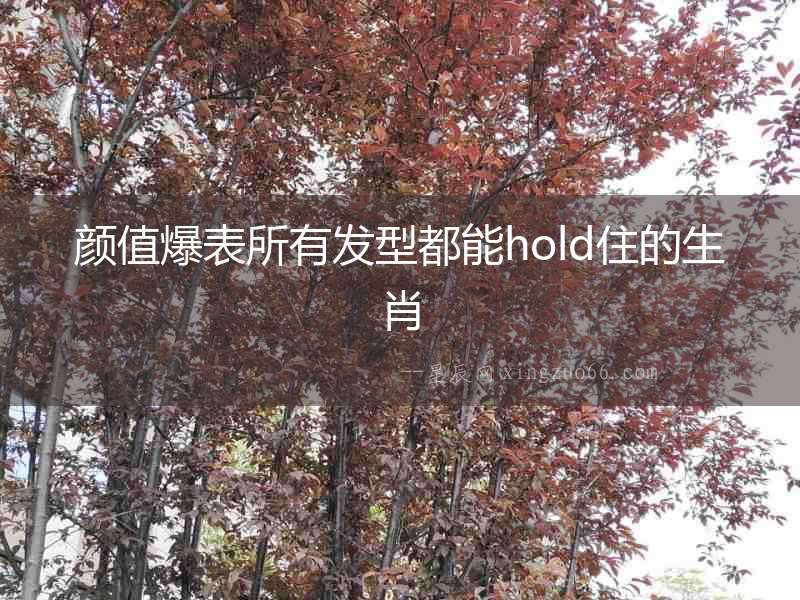 顏值爆表所有發(fā)型都能hold住的生肖