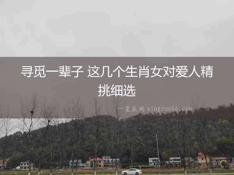尋覓一輩子 這幾個生肖女對愛人精挑細選