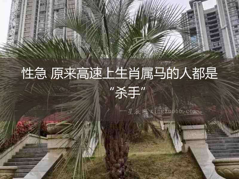 性急 原來高速上生肖屬馬的人都是“殺手”