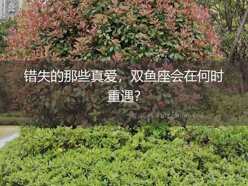 錯失的那些真愛，雙魚座會在何時重遇？
