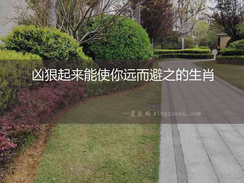 兇狠起來能使你遠而避之的生肖