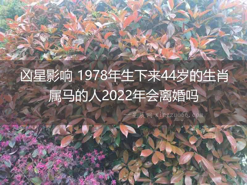 兇星影響 1978年生下來44歲的生肖屬馬的人2022年會離婚嗎