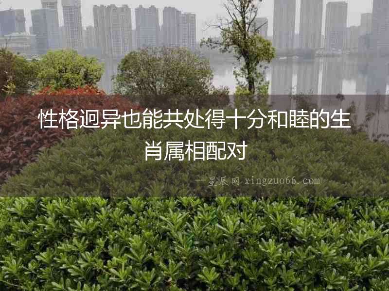 性格迥異也能共處得十分和睦的生肖屬相配對