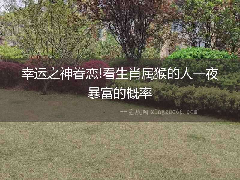 幸運之神眷戀!看生肖屬猴的人一夜暴富的概率