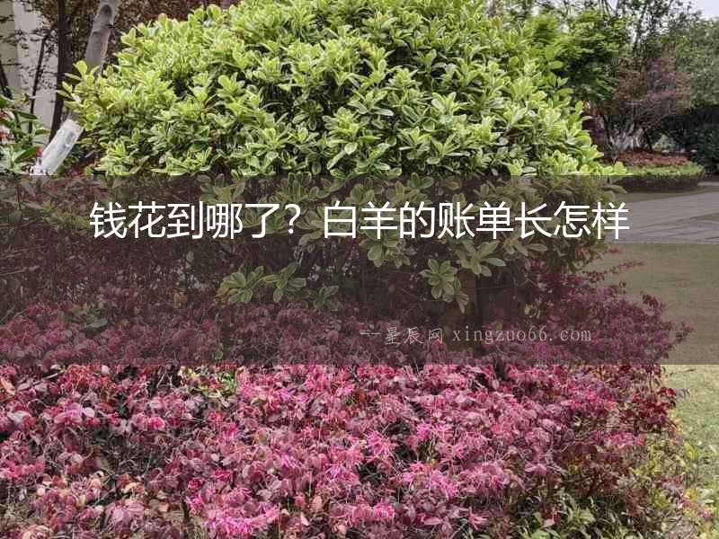 錢花到哪了？白羊的賬單長(zhǎng)怎樣