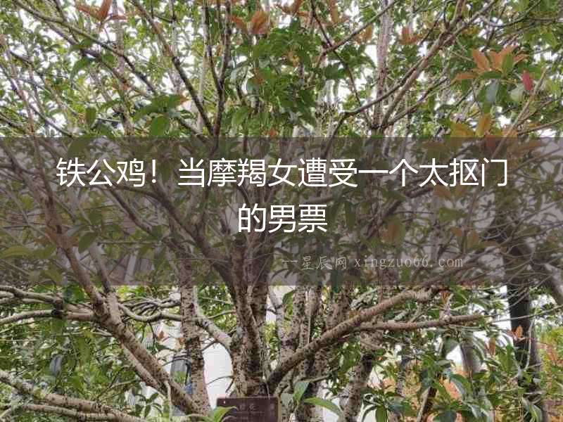 鐵公雞！當摩羯女遭受一個太摳門的男票