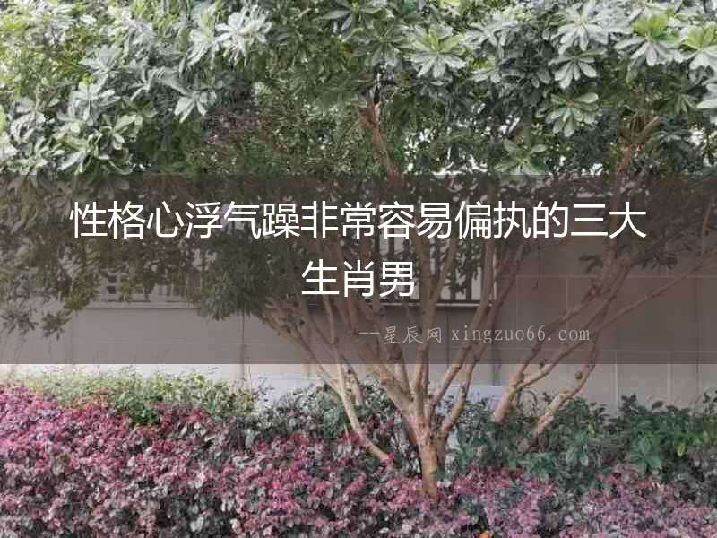 性格心浮氣躁非常容易偏執的三大生肖男