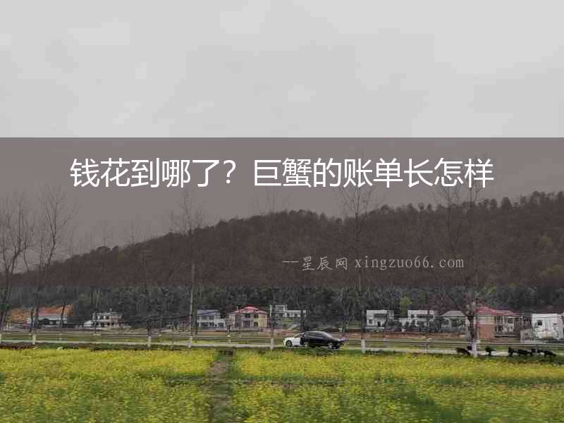錢花到哪了？巨蟹的賬單長怎樣