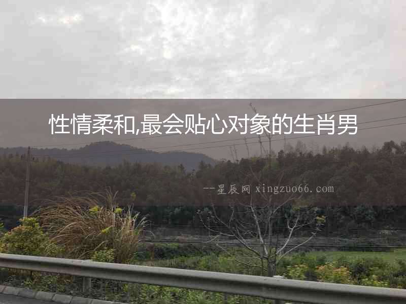 性情柔和,最會貼心對象的生肖男