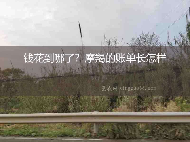 錢花到哪了？摩羯的賬單長怎樣