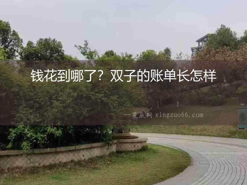 錢花到哪了？雙子的賬單長怎樣