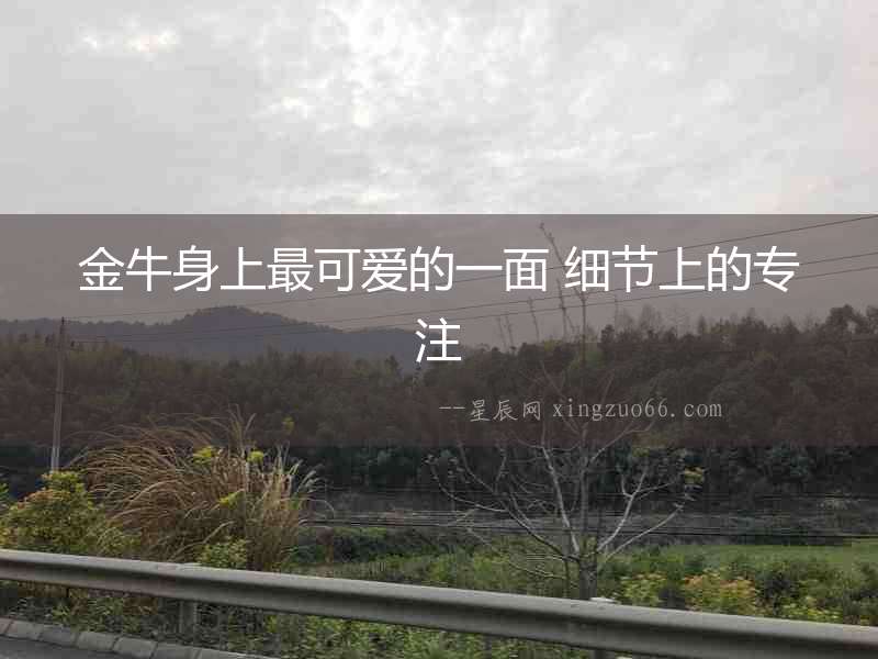 金牛身上最可愛的一面 細(xì)節(jié)上的專注