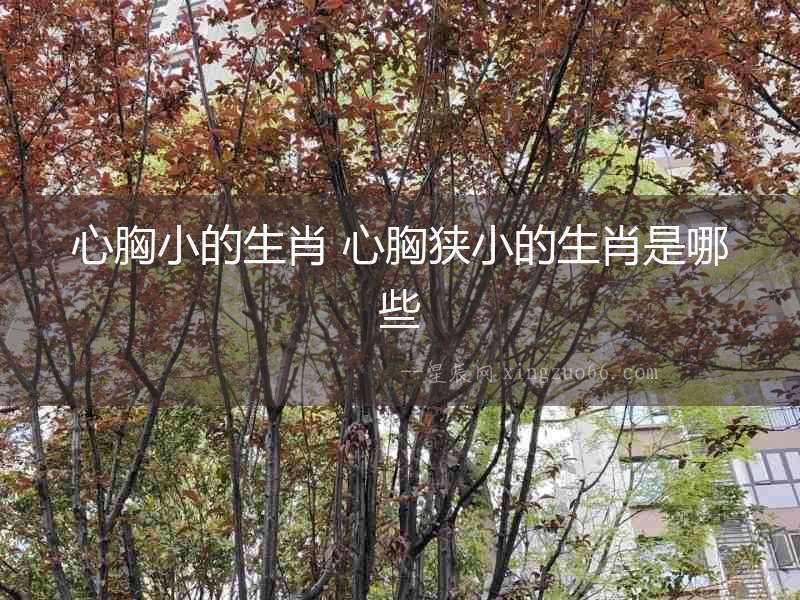心胸小的生肖 心胸狹小的生肖是哪些