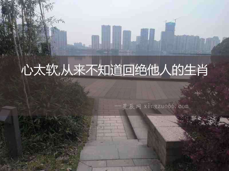 心太軟,從來不知道回絕他人的生肖