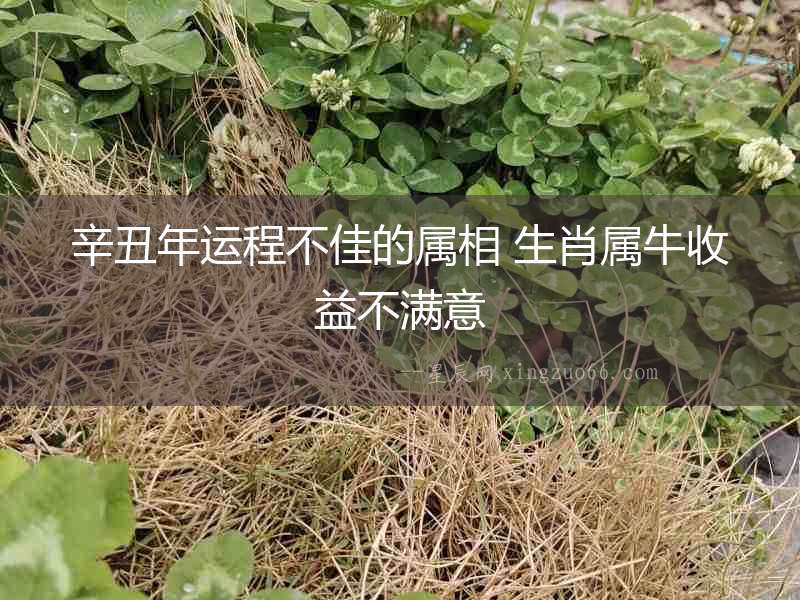 辛丑年運程不佳的屬相 生肖屬牛收益不滿意