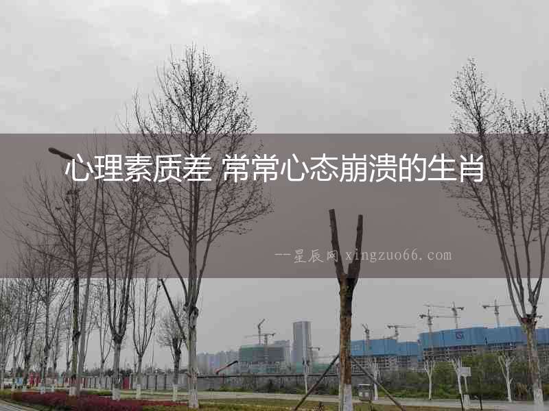 心理素質(zhì)差 常常心態(tài)崩潰的生肖
