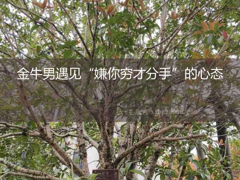 金牛男遇見“嫌你窮才分手”的心態(tài)