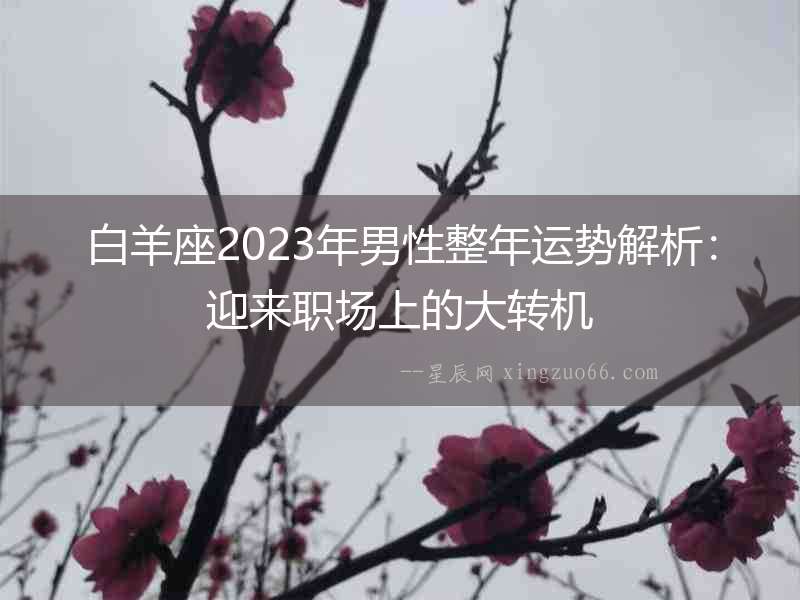 白羊座2023年男性整年運勢解析：迎來職場上的大轉機