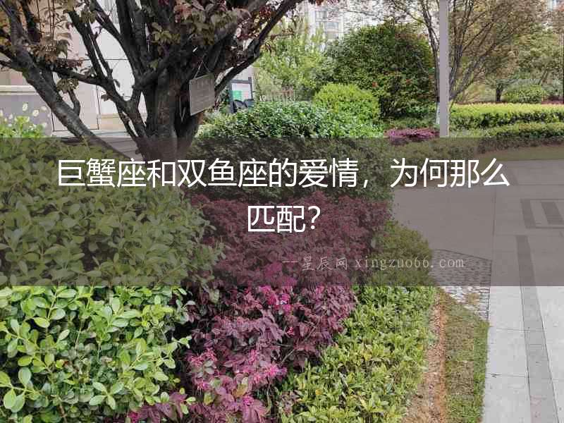 巨蟹座和雙魚座的愛情，為何那么匹配？