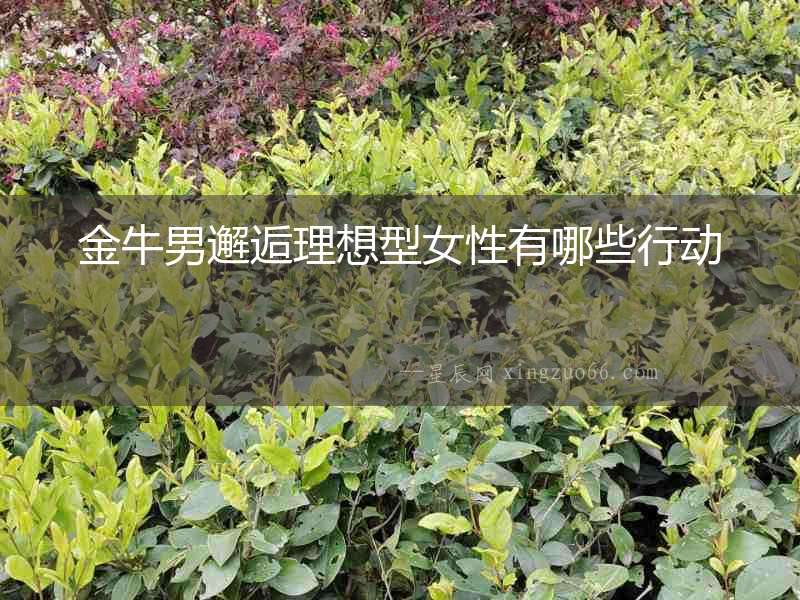 金牛男邂逅理想型女性有哪些行動