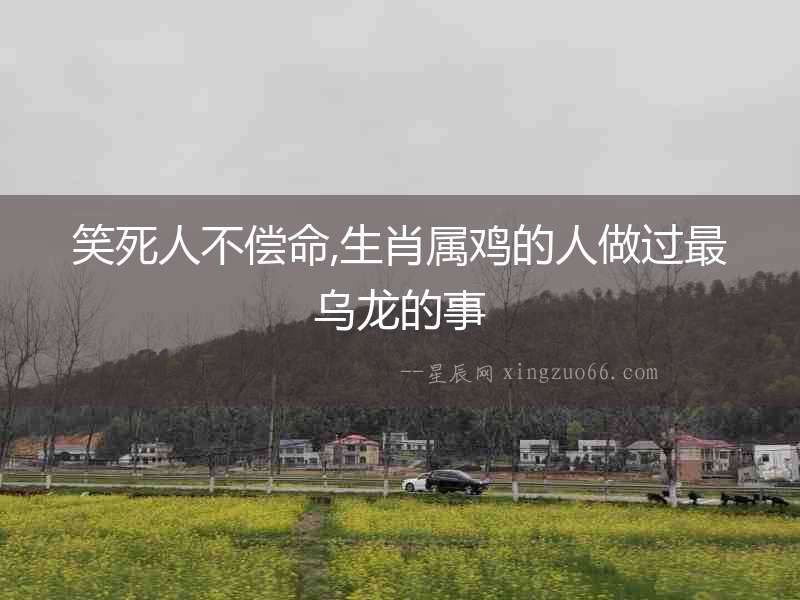 笑死人不償命,生肖屬雞的人做過最烏龍的事