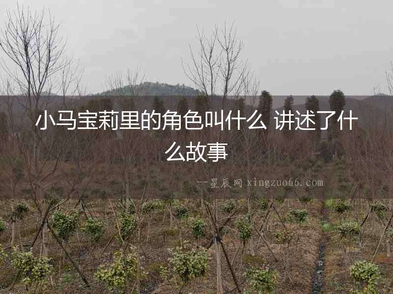 小馬寶莉里的角色叫什么 講述了什么故事